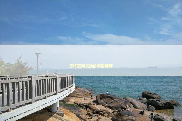 怎样鉴别真伪的泰国佛牌