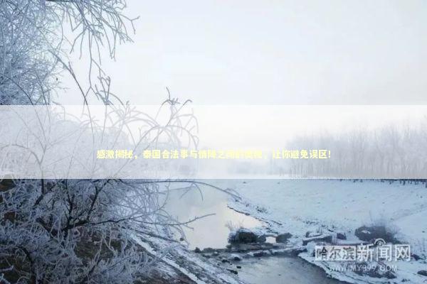 感激揭秘，泰国合法事与情降之间的奥秘，让你避免误区！