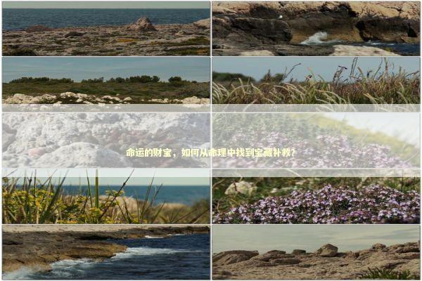 命运的财宝，如何从命理中找到宝藏补救？