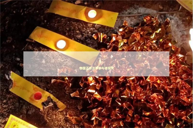 泰国正宗法事参与者探究